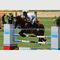 عکس پرتره های رنگ روغن سفارشی مسابقه اسب نقاشی رنگ روغن دست ساز روی بوم